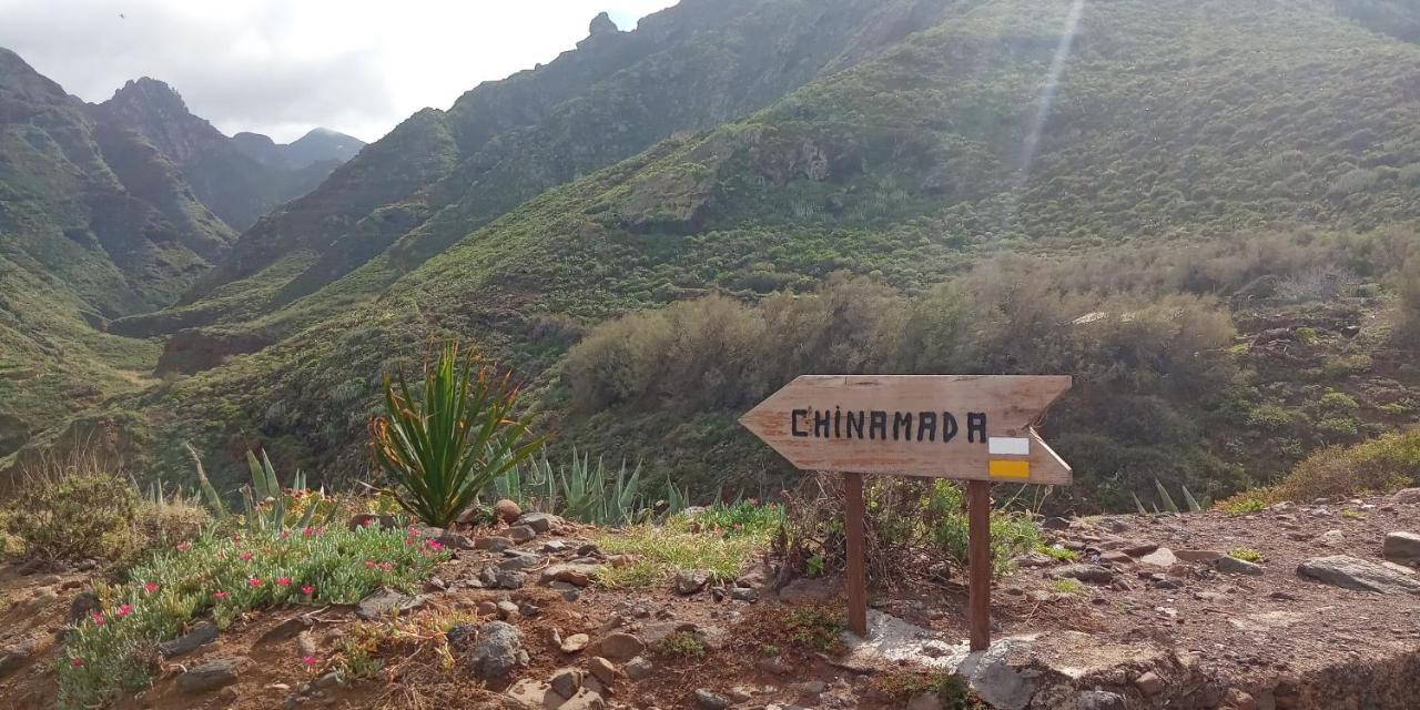 Estudio - Descanso Y Bienestar En La Punta Punta Del Hidalgo Zewnętrze zdjęcie