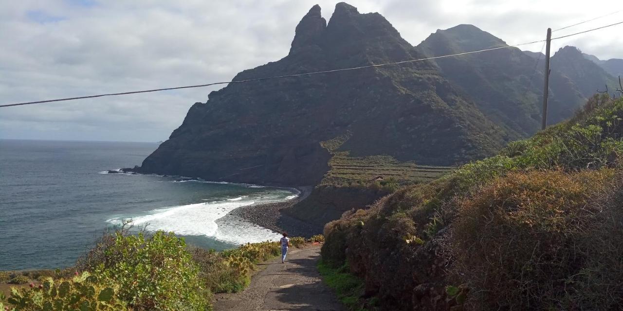 Estudio - Descanso Y Bienestar En La Punta Punta Del Hidalgo Zewnętrze zdjęcie